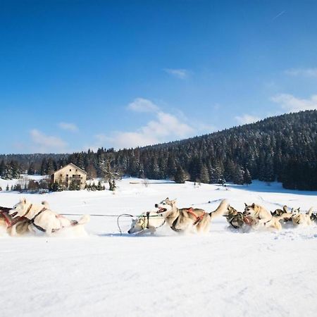 Babaute 7, Studio Typique Au Pied Des Pistes Prémanon 外观 照片